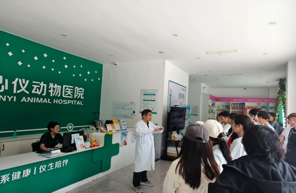 图片5.jpg